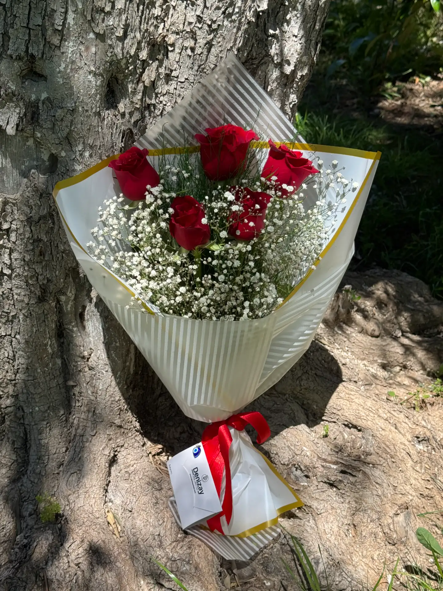 5 Adet Kırmızı Gül Asaleti