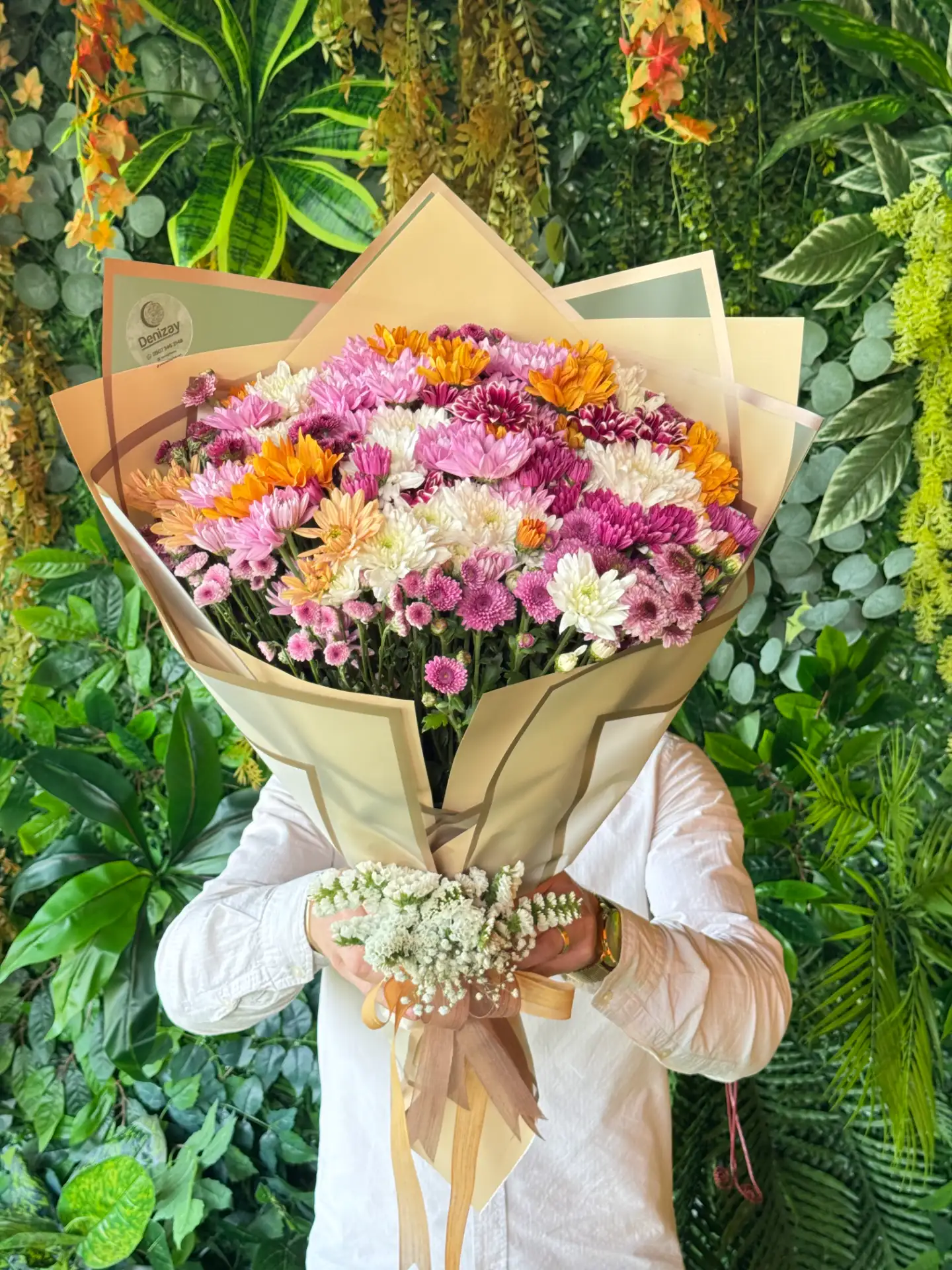 Kasımpatı Renkleri