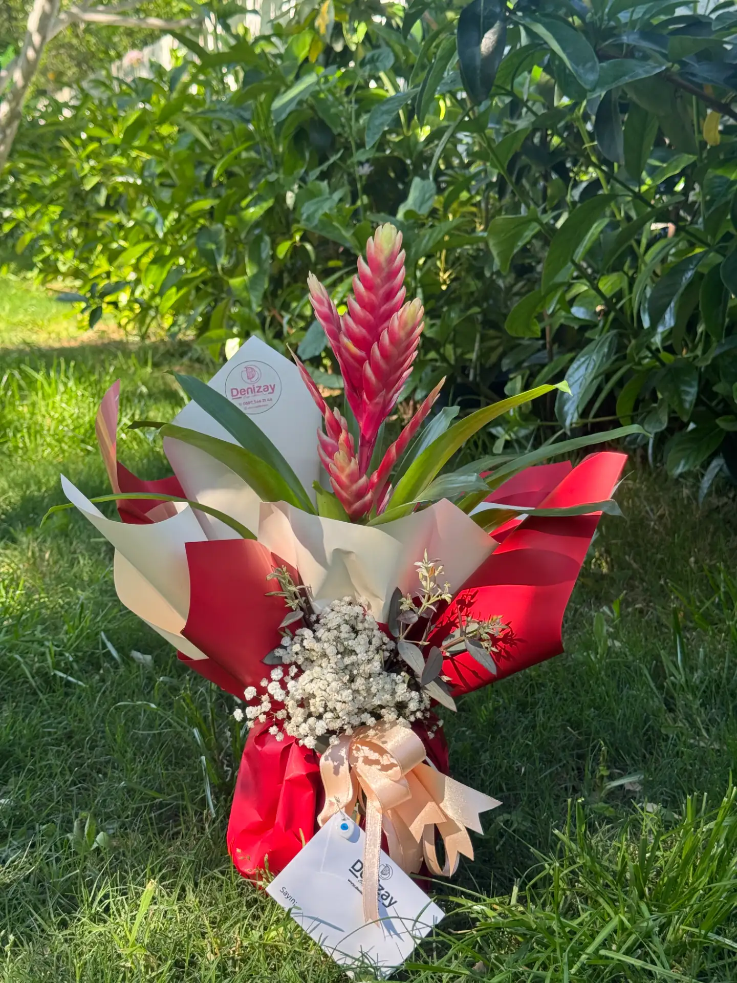 Mix Frezya Güzelliği