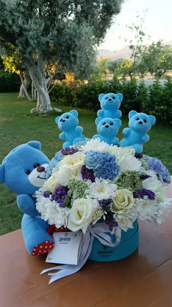 Erkek Bebek Doğum Hediyesi