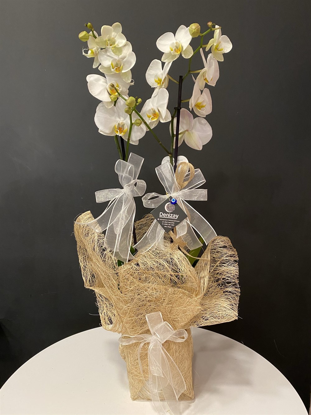 Çİft Dal Beyaz Orkide 