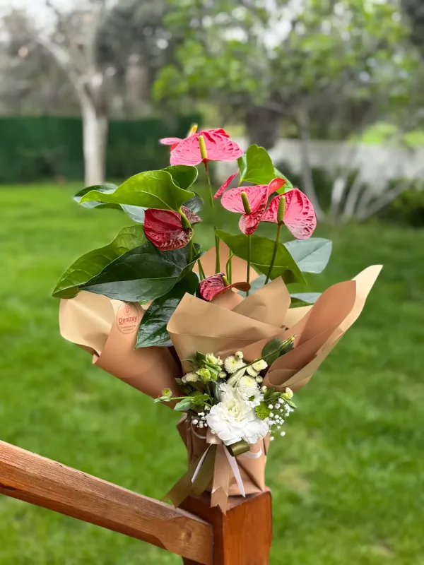 Antaryom Şıklığı 