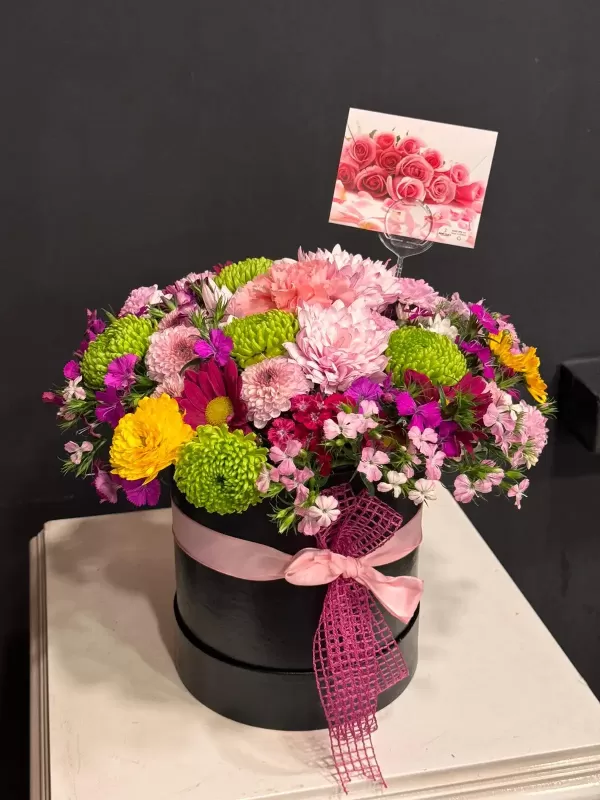 Kutu Kutu Bahar Esintisi