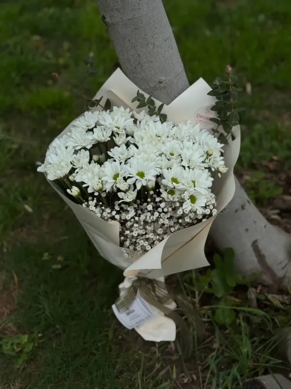 Sade Şıklık Papatya Buketi