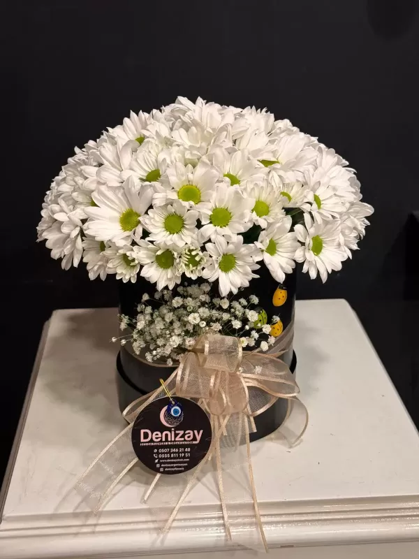 Kutu Kutu Papatyalar 